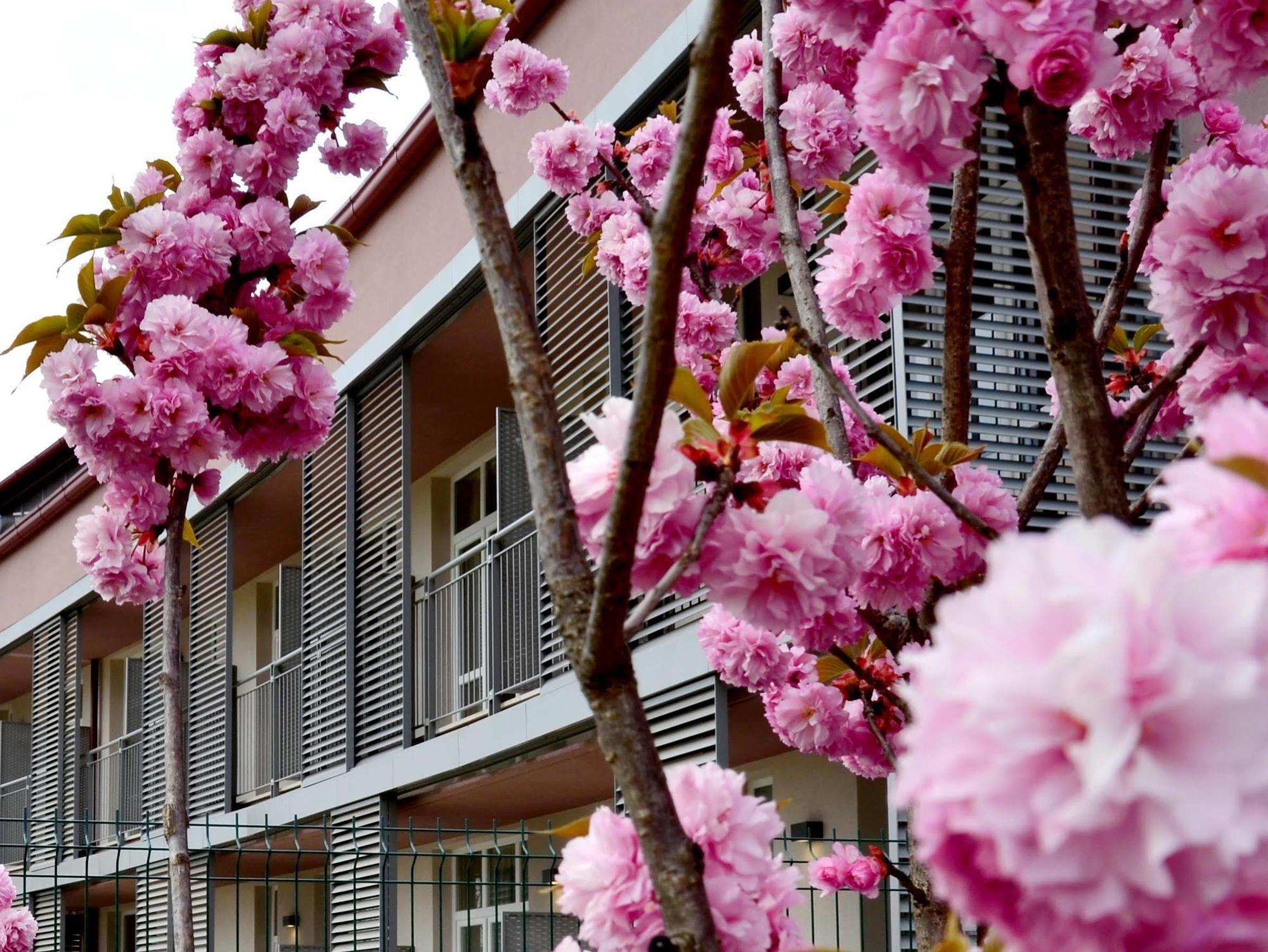 Privilege Apartments Vimercate Esterno foto